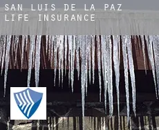 San Luis de la Paz  life insurance