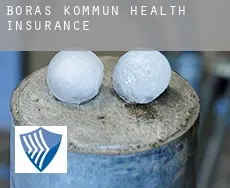 Borås Kommun  health insurance