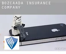 Tenedos insurance company