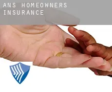 Ans  homeowners insurance