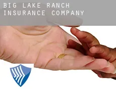 Big Lake Ranch  insurance company