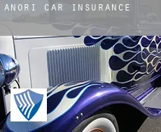 Anori  car insurance