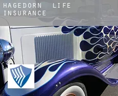 Hagedorn  life insurance