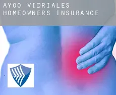 Ayoó de Vidriales  homeowners insurance