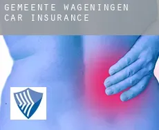 Gemeente Wageningen  car insurance