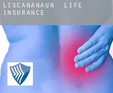 Liscananaun  life insurance