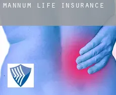 Mannum  life insurance