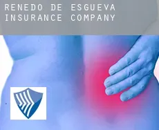 Renedo de Esgueva  insurance company