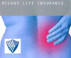 Říčany  life insurance