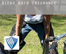 Bieno  auto insurance