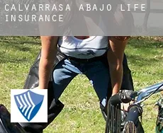 Calvarrasa de Abajo  life insurance