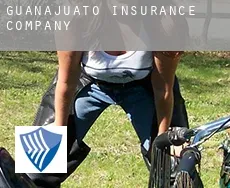 Guanajuato  insurance company