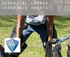 Vedano al Lambro  insurance agents