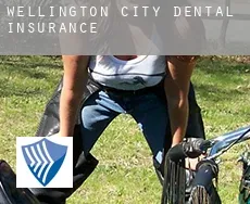 Wellington City  dental insurance