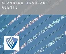 Acámbaro  insurance agents