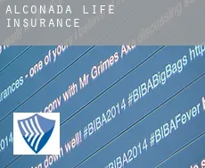 Alconada  life insurance