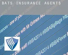 Bats  insurance agents