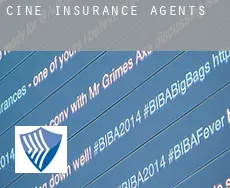 Çine  insurance agents