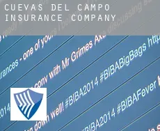 Cuevas del Campo  insurance company