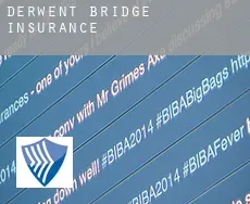 Derwent Bridge  insurance