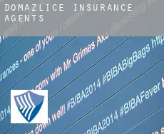 Domažlice  insurance agents