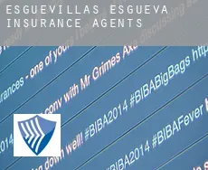 Esguevillas de Esgueva  insurance agents