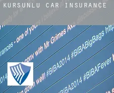 Kurşunlu car insurance