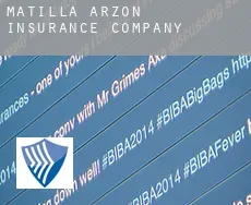 Matilla de Arzón  insurance company