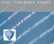 Pigy  insurance agents