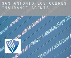San Antonio de los Cobres insurance agents