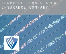 Torpille (census area)  insurance company