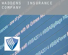 Waddens  insurance company