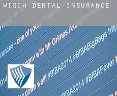 Wisch dental insurance