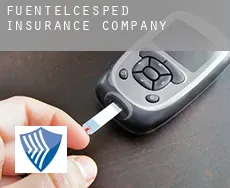 Fuentelcésped  insurance company