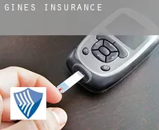 Ginés insurance