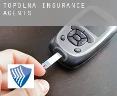 Topolná  insurance agents