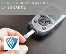 Torija homeowners insurance