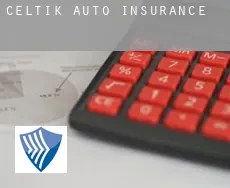 Çeltik  auto insurance