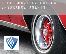 Teul de González Ortega  insurance agents