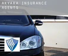 Akyaka  insurance agents