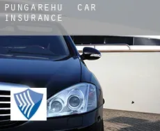 Pungarehu  car insurance