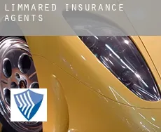 Limmared insurance agents