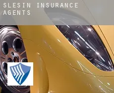 Ślesin insurance agents