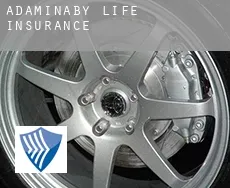 Adaminaby  life insurance