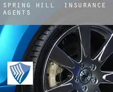 Spring Hill  insurance agents