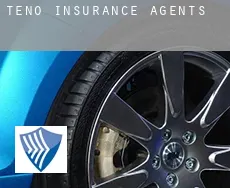 Teno  insurance agents