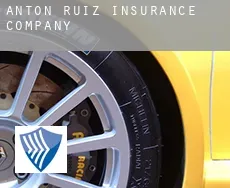 Antón Ruiz  insurance company