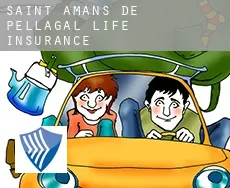 Saint-Amans-de-Pellagal  life insurance