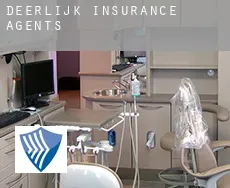 Deerlijk insurance agents