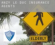 Anzy-le-Duc insurance agents
